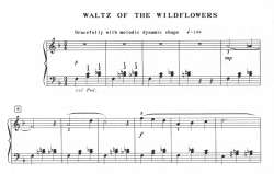 Waltz of the Wildflowers